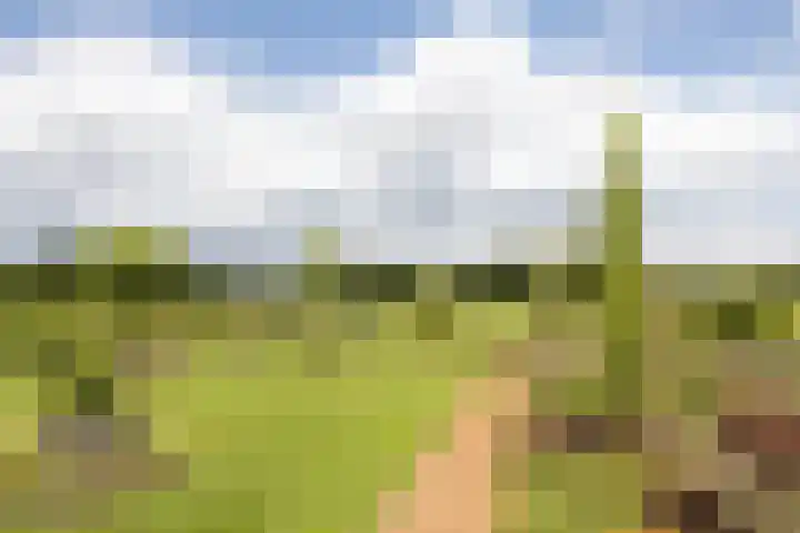 Blekemeer 20 Uddel thumbnail 12