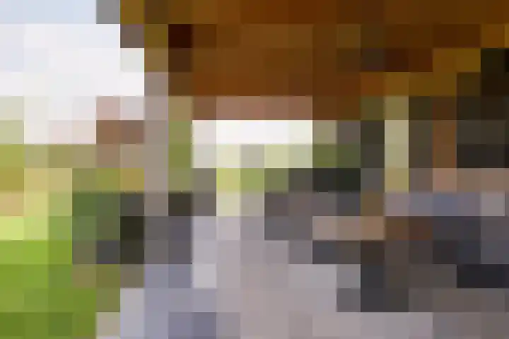 Blekemeer 20 Uddel thumbnail 13