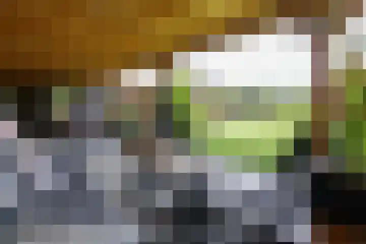 Blekemeer 20 Uddel thumbnail 15