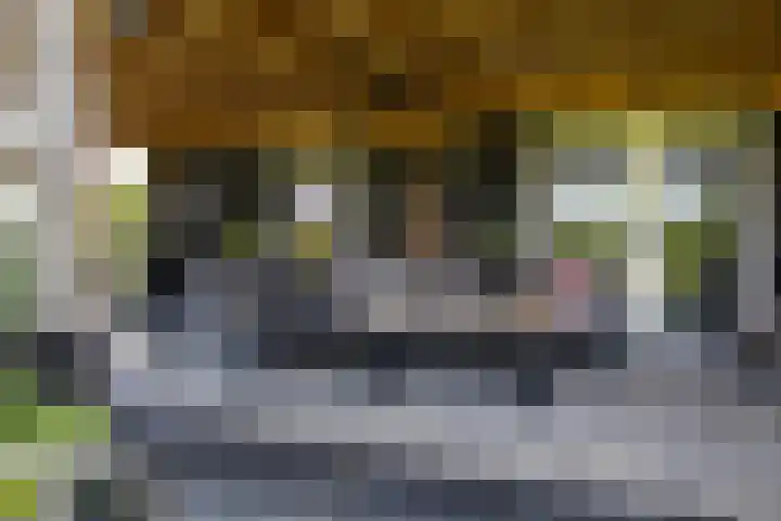 Blekemeer 20 Uddel thumbnail 16