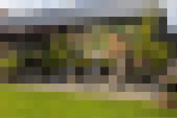 Blekemeer 20 Uddel thumbnail 17