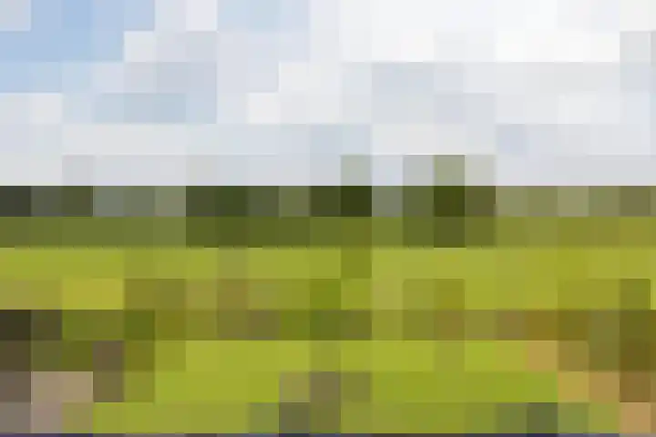 Blekemeer 20 Uddel thumbnail 18