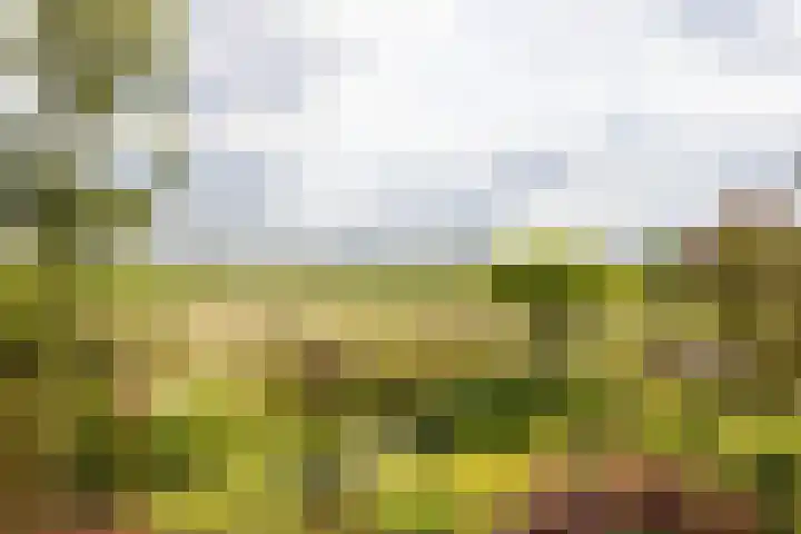 Blekemeer 20 Uddel thumbnail 19