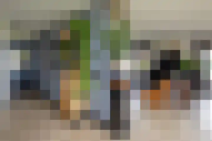 Blekemeer 20 Uddel thumbnail 24