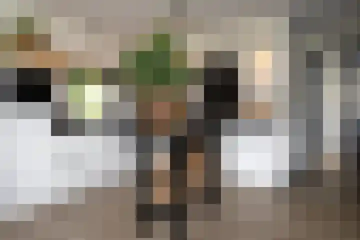 Blekemeer 20 Uddel thumbnail 25