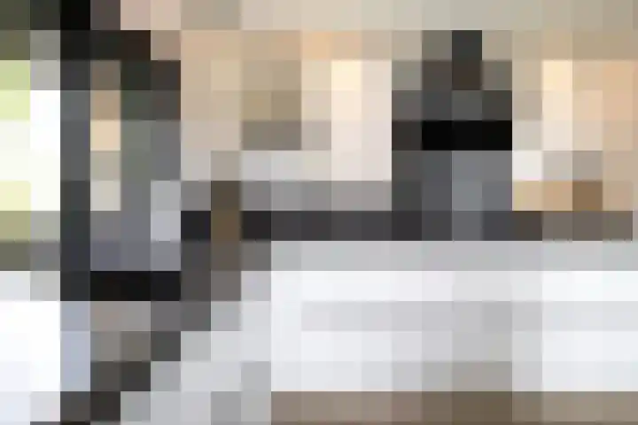 Blekemeer 20 Uddel thumbnail 26