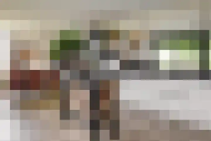 Blekemeer 20 Uddel thumbnail 27
