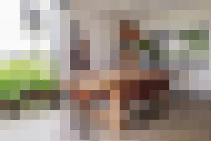 Blekemeer 20 Uddel thumbnail 29