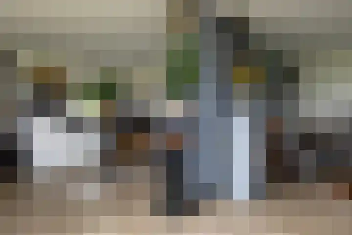 Blekemeer 20 Uddel thumbnail 30