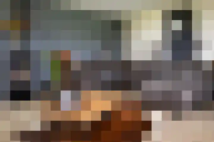 Blekemeer 20 Uddel thumbnail 33