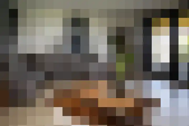Blekemeer 20 Uddel thumbnail 34