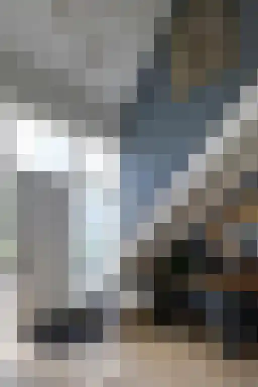 Blekemeer 20 Uddel thumbnail 35