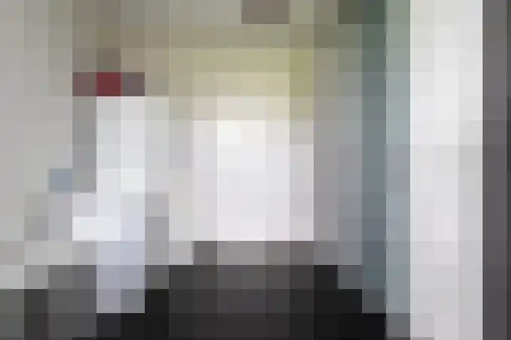 Blekemeer 20 Uddel thumbnail 36