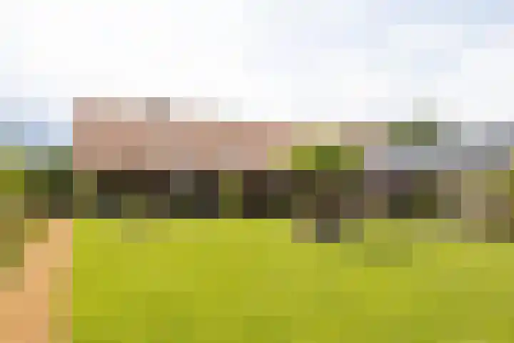 Blekemeer 20 Uddel thumbnail 4
