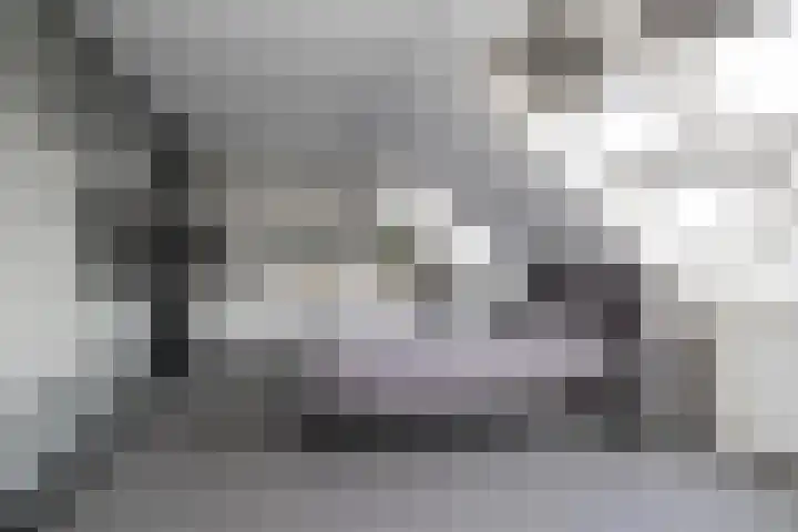 Blekemeer 20 Uddel thumbnail 40