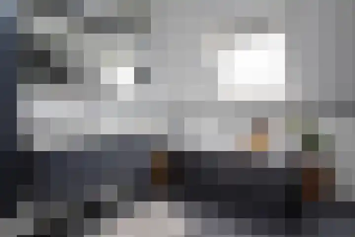Blekemeer 20 Uddel thumbnail 43