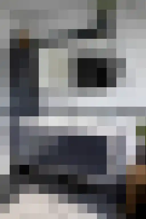 Blekemeer 20 Uddel thumbnail 45