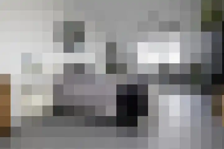 Blekemeer 20 Uddel thumbnail 47