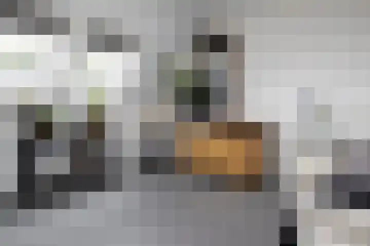 Blekemeer 20 Uddel thumbnail 48