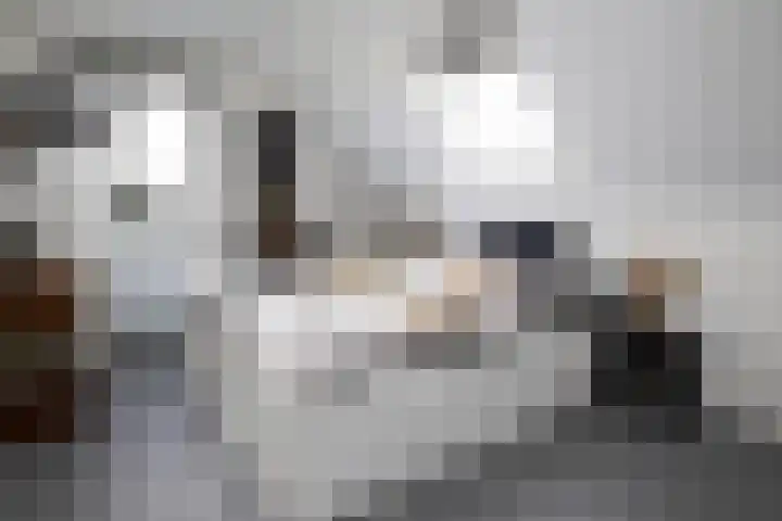 Blekemeer 20 Uddel thumbnail 49