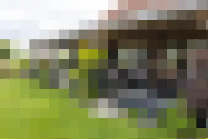 Blekemeer 20 Uddel thumbnail 5