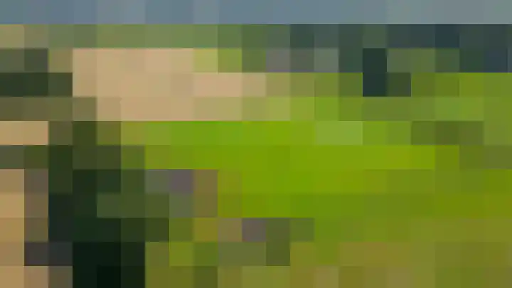 Blekemeer 20 Uddel thumbnail 53