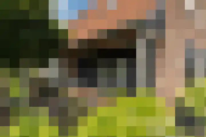 Blekemeer 20 Uddel thumbnail 9