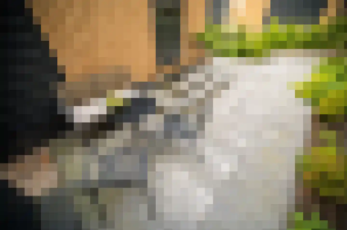 Blekemeer 29 D3B Uddel thumbnail 25