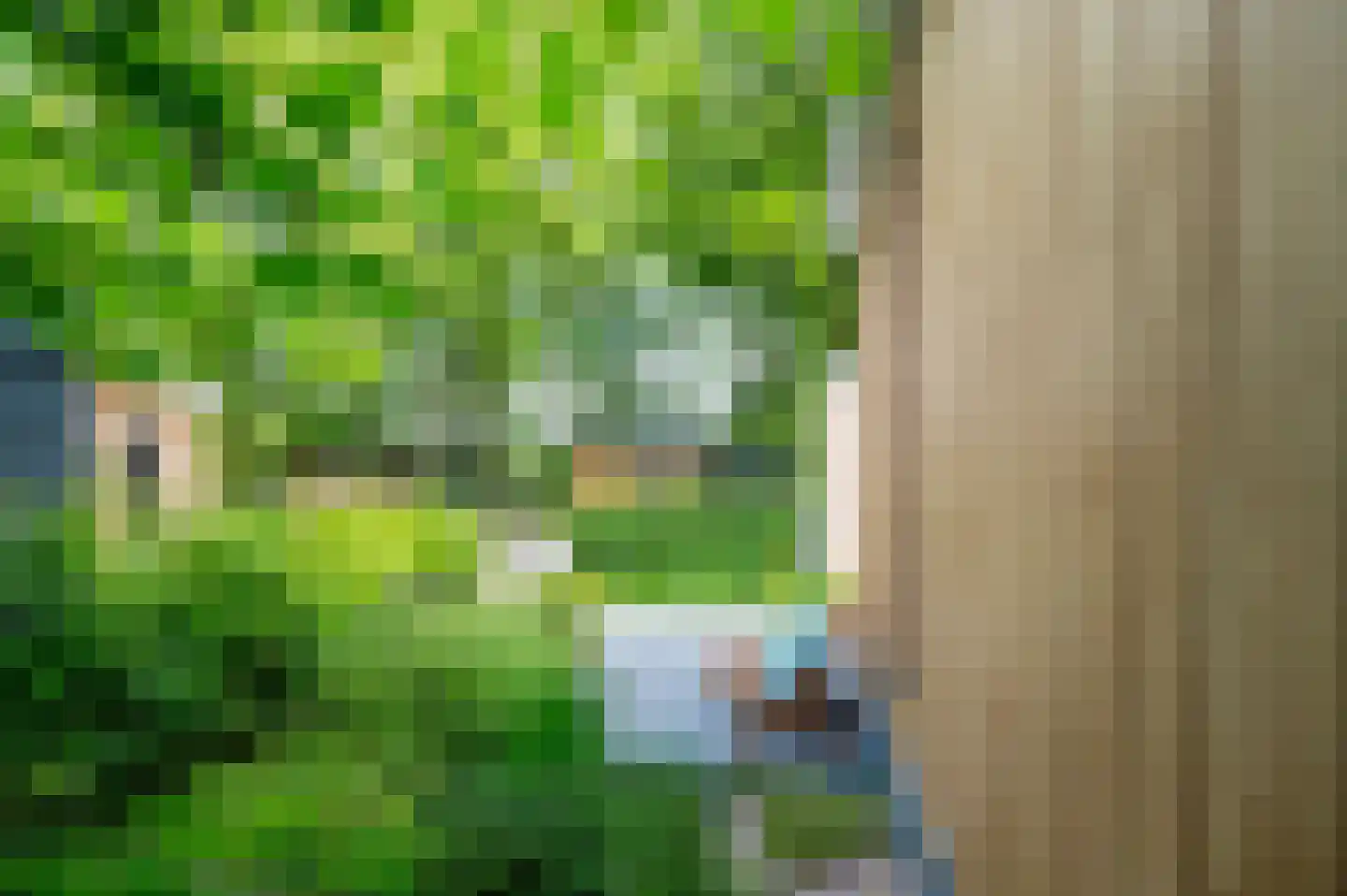 Blekemeer 29 D3B Uddel thumbnail 27