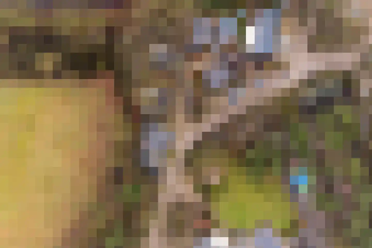 Blekemeer 29 D3B Uddel thumbnail 29