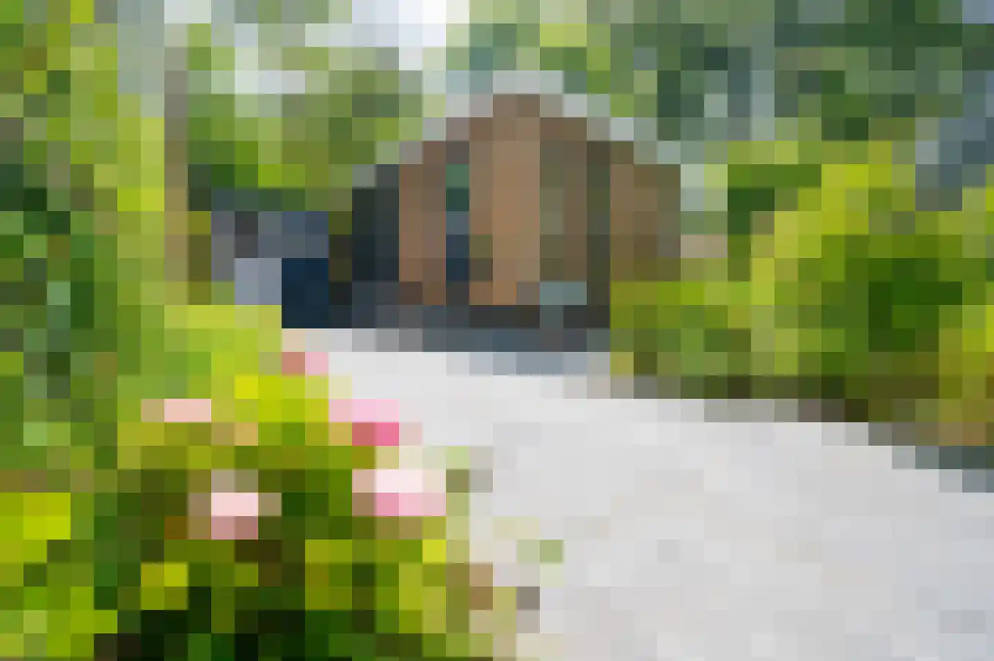 Blekemeer 29 D3B Uddel thumbnail 6