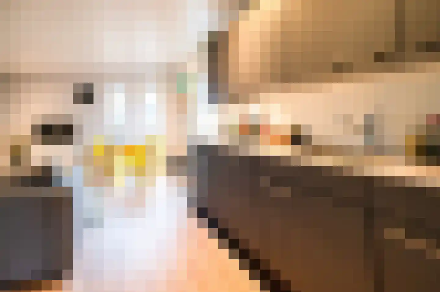 Blekemeer 29 D3B Uddel thumbnail 8