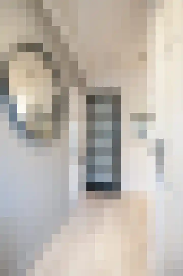 Blekemeer 29 K29 Uddel thumbnail 10