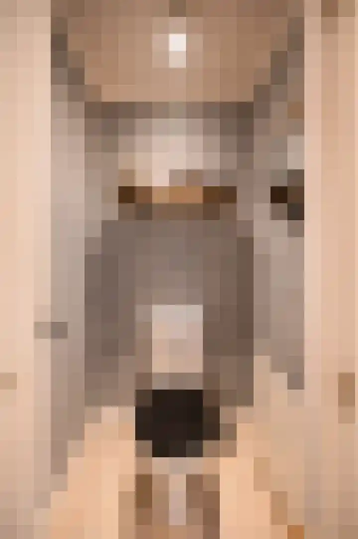Blekemeer 29 K29 Uddel thumbnail 13