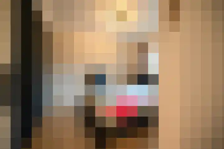 Blekemeer 29 K29 Uddel thumbnail 14