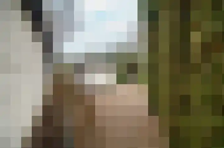 Blekemeer 29 K29 Uddel thumbnail 17