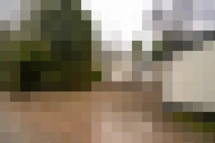 Blekemeer 29 K29 Uddel thumbnail 20