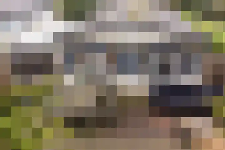 Blekemeer 29 K29 Uddel thumbnail 21