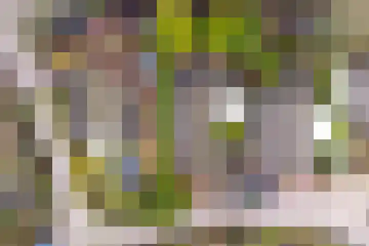 Blekemeer 29 K29 Uddel thumbnail 22