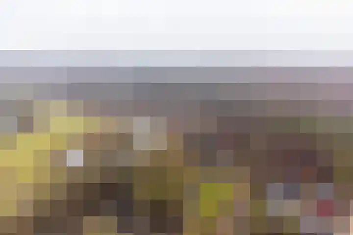 Blekemeer 29 K29 Uddel thumbnail 23