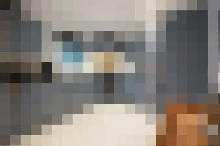 Blekemeer 29 K29 Uddel thumbnail 8