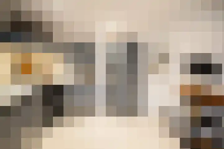 Blekemeer 29 K29 Uddel thumbnail 9