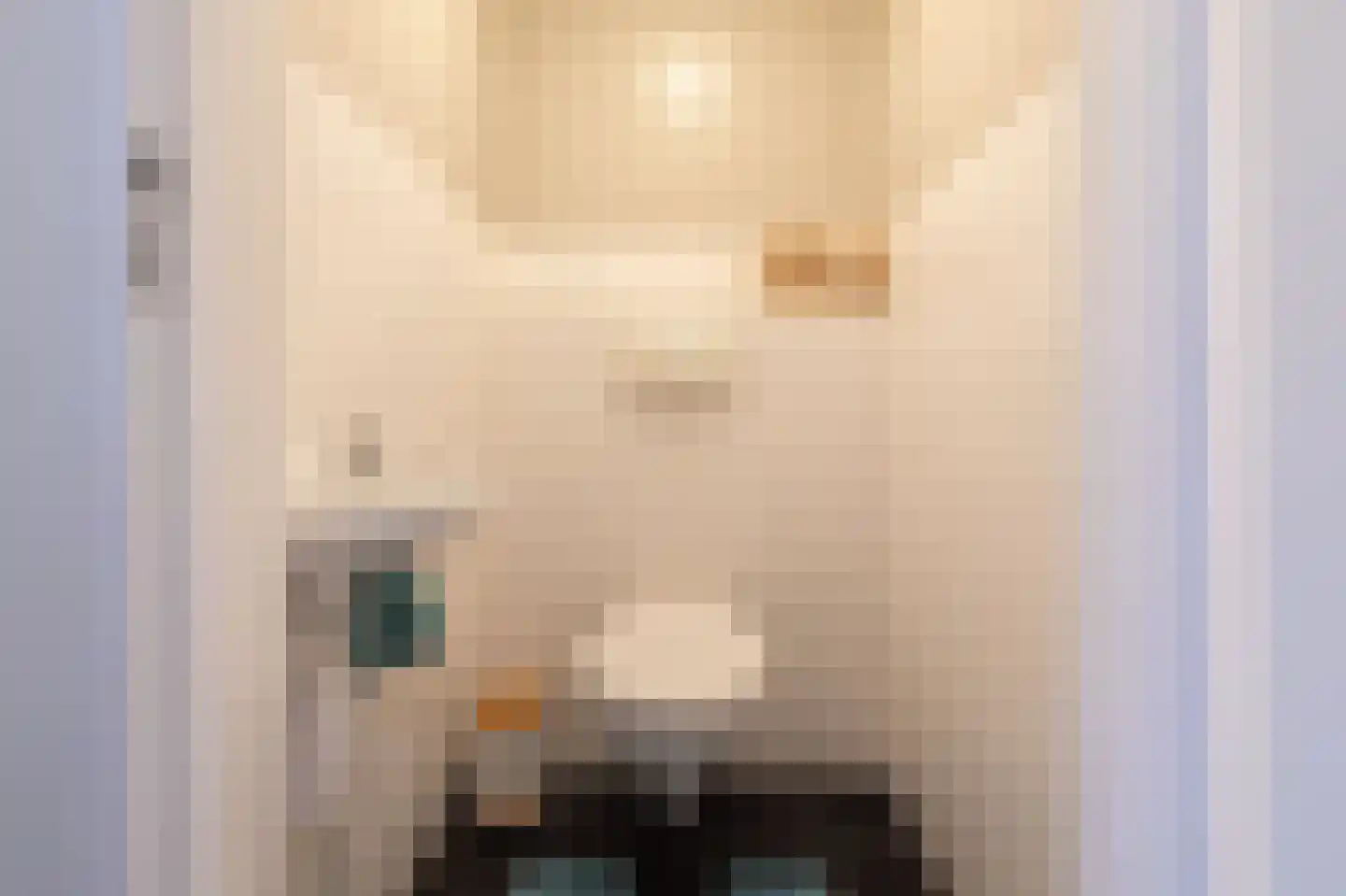 Blekemeer 29 K35 Uddel thumbnail 20