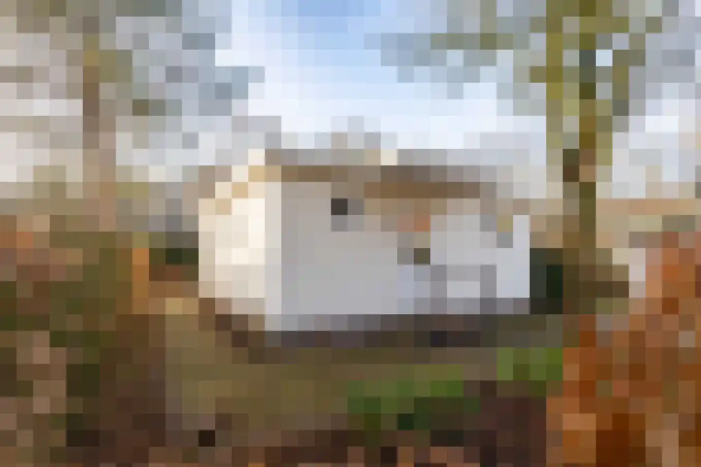 Blekemeer 29 K35 Uddel thumbnail 22