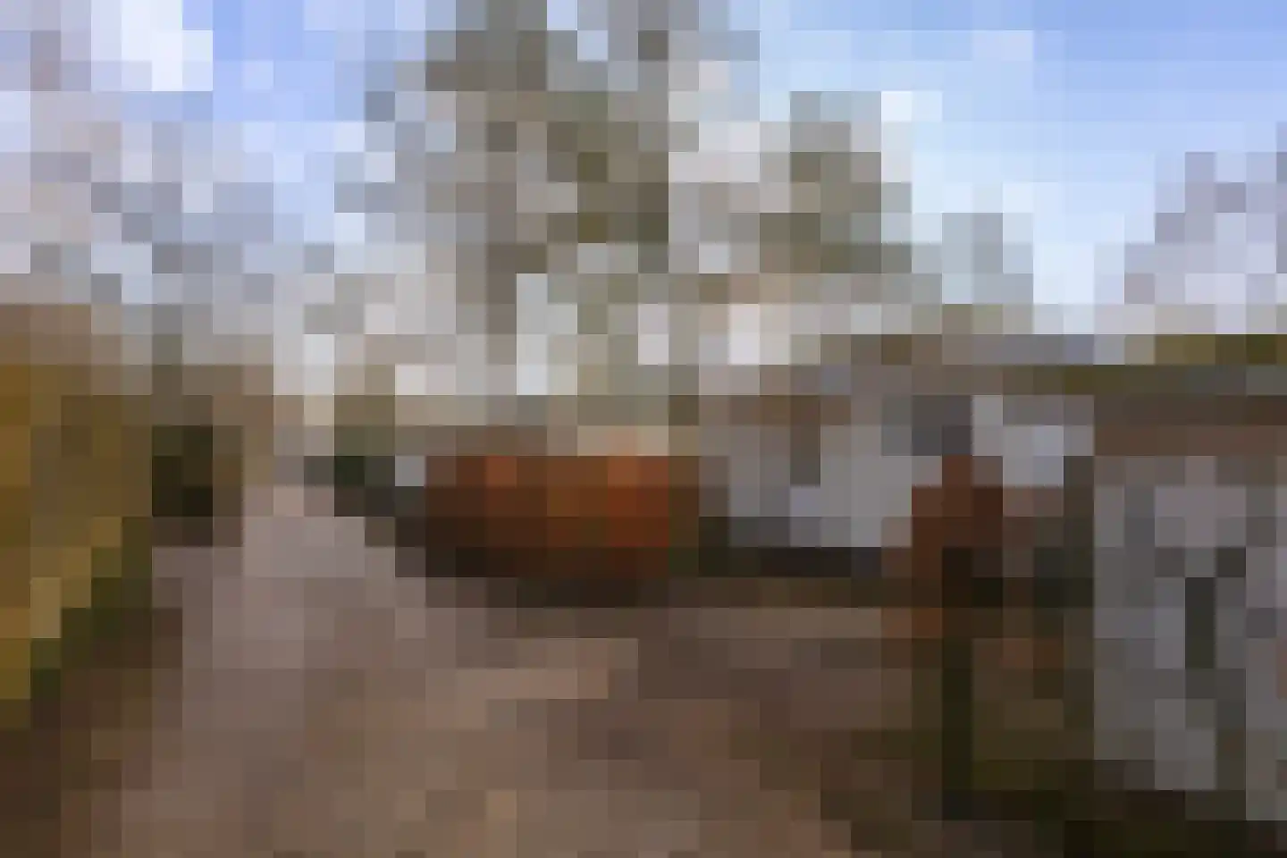 Blekemeer 29 K35 Uddel thumbnail 23