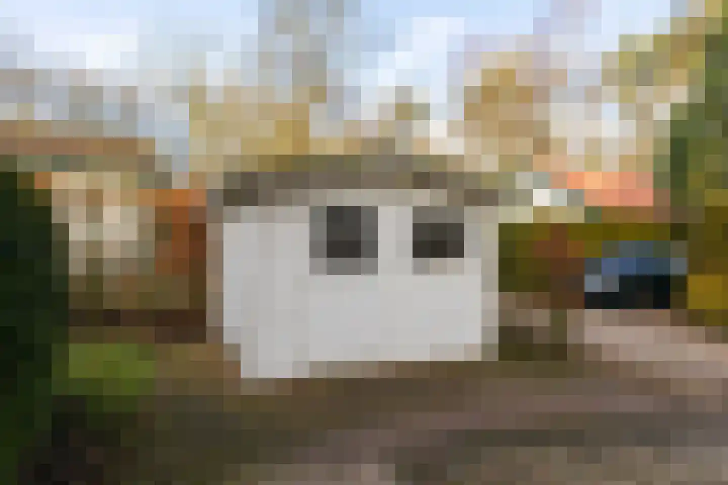 Blekemeer 29 K35 Uddel thumbnail 24