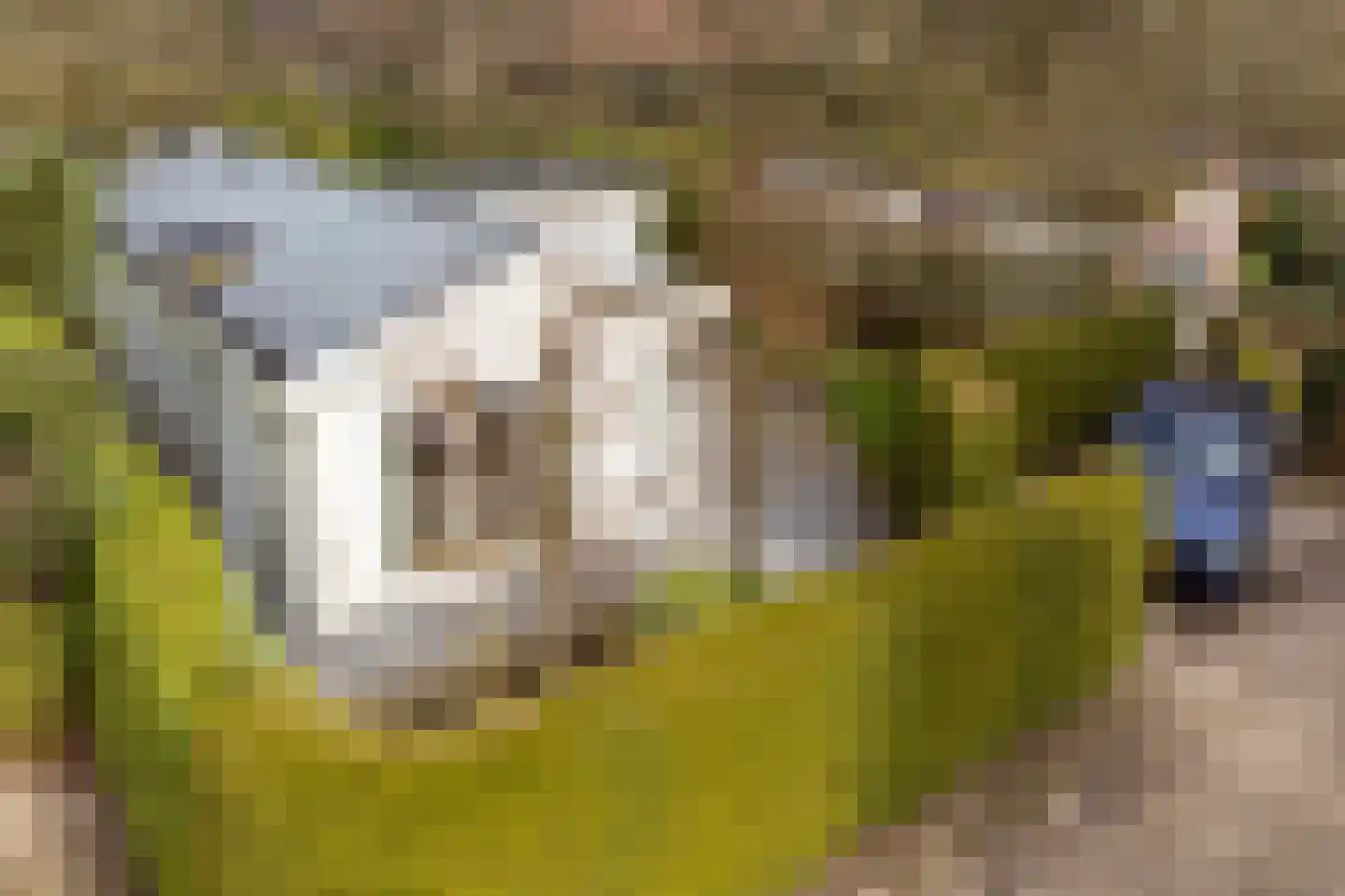 Blekemeer 29 K6 Uddel thumbnail 24