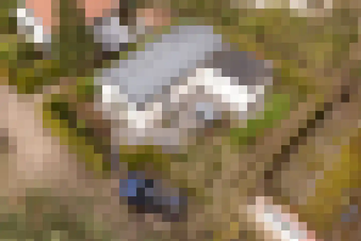 Blekemeer 29 K6 Uddel thumbnail 25