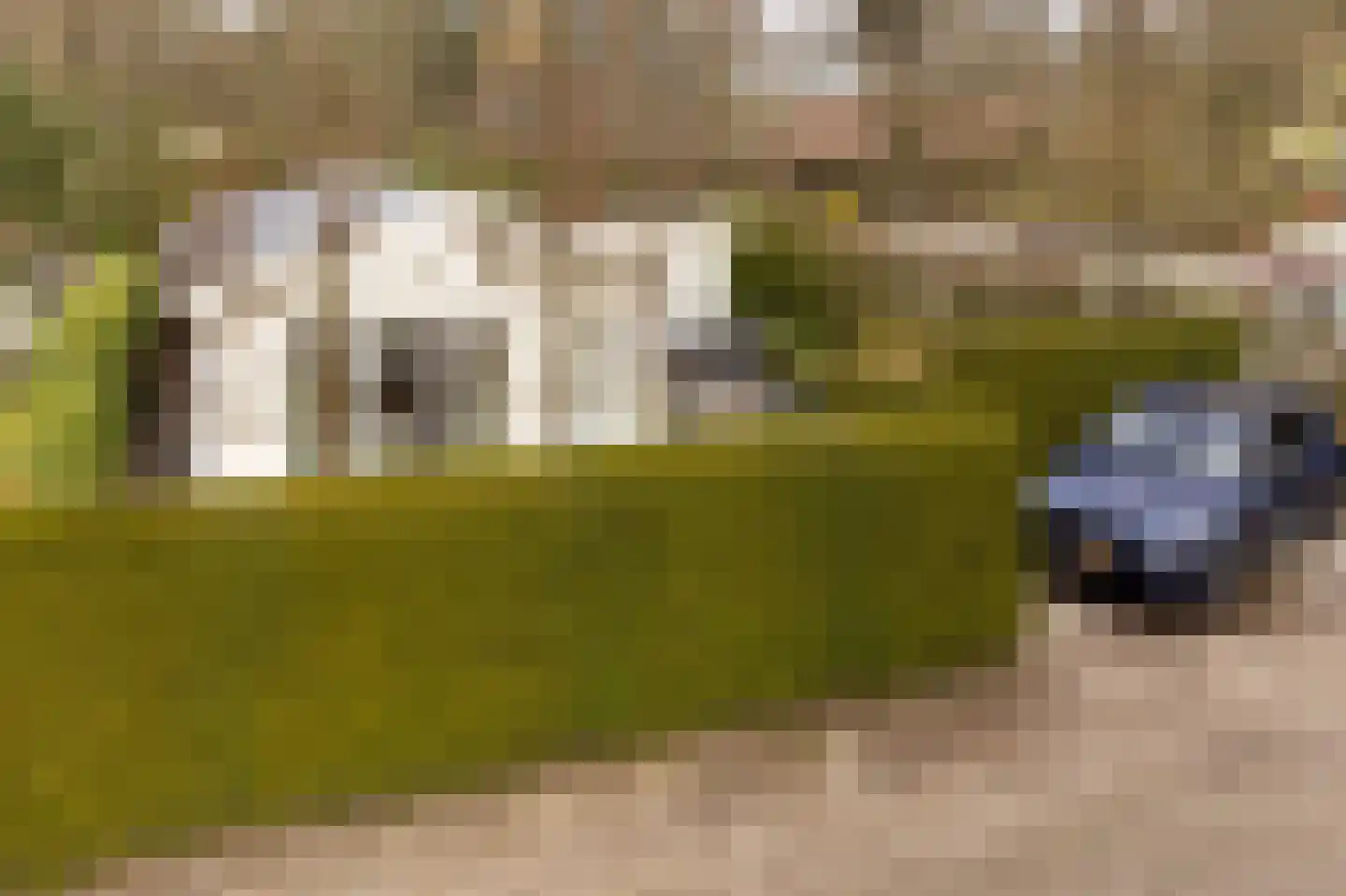 Blekemeer 29 K6 Uddel thumbnail 5