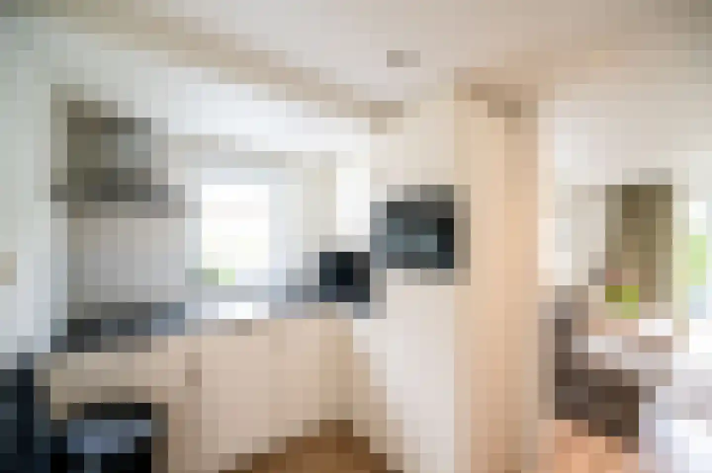 Blekemeer 29 K6 Uddel thumbnail 7